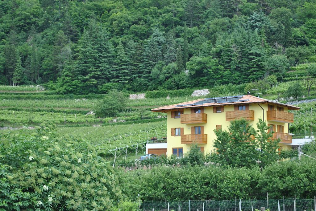 Bed and Breakfast Agritur al Vigneto à Trente Extérieur photo